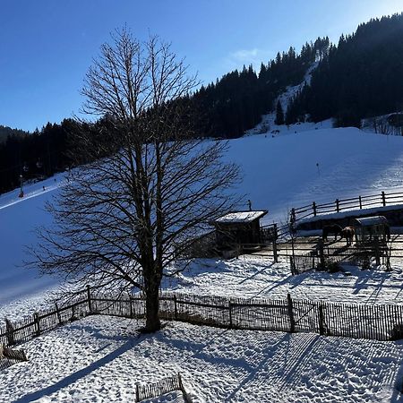 Obinghof Διαμέρισμα Fieberbrunn Εξωτερικό φωτογραφία
